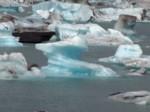 071 - laguna glaciale.jpg

313,64 KB 
2016 x 1509 
02/11/04
